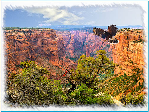Flight Over the Canyon